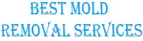 Best Mold Removal Services, Removal Cincinnati OH