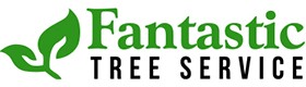 Fantastic Tree Service, tree removal services near North Houston TX