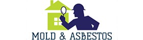 Tony's Molds and Asbestos service, cost Westchester County NY