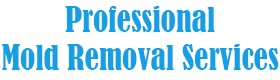 Professional Mold Removal Services, mold removal contractor Mesa AZ