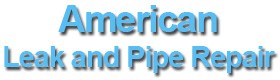 American Pool Leak Detection Company, Estimate Dallas TX