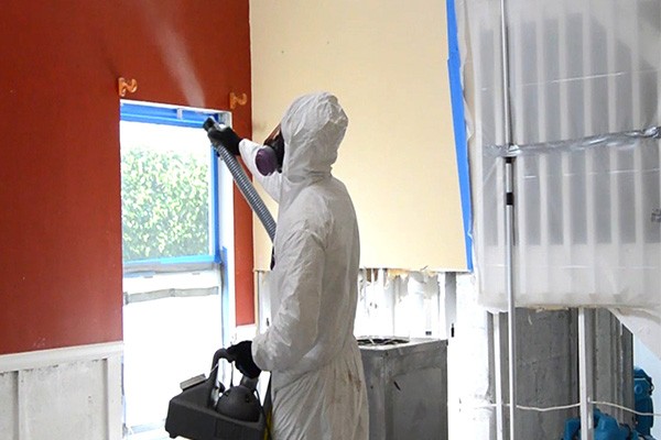 Best Mold Removal
