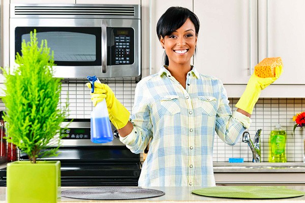 Kitchen Cleaning Services