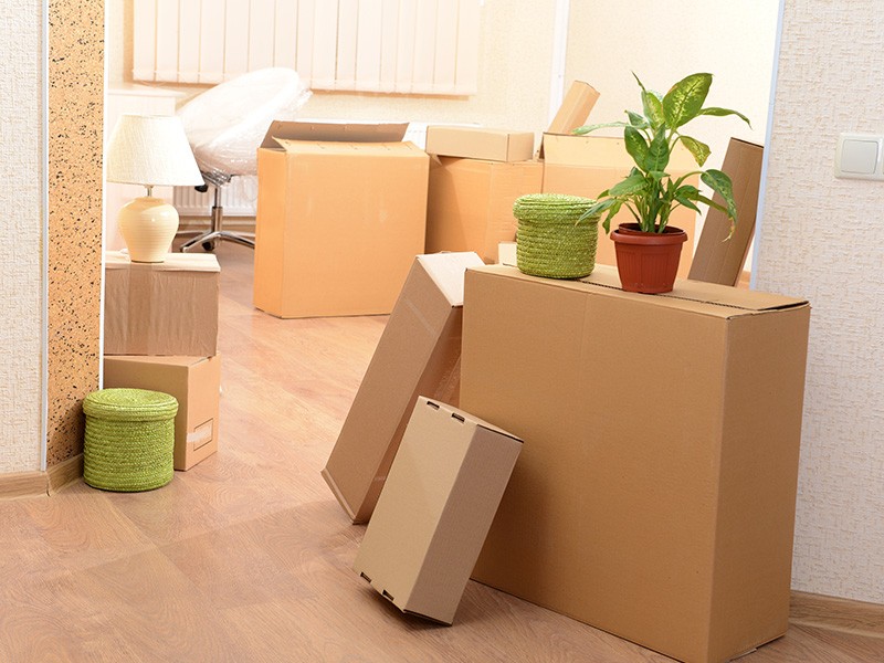 Reasons To Choose Our Moving Services
