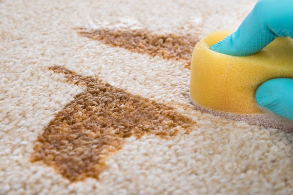 Carpet Odor & Stain Removal