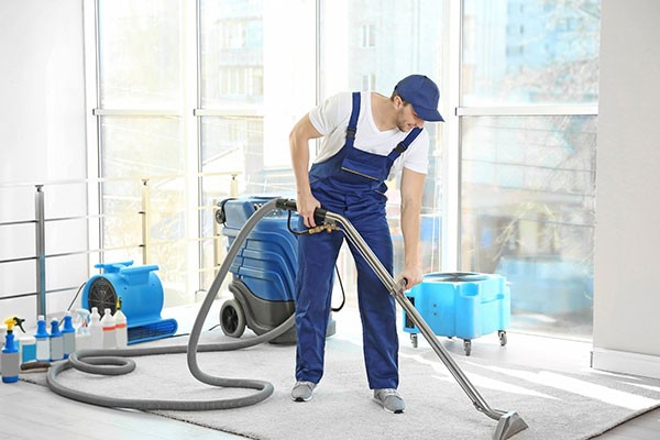 Carpet cleaning services