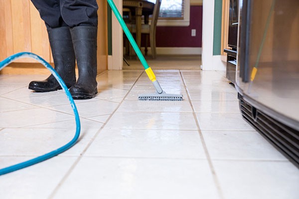 Professional Grout Cleaning