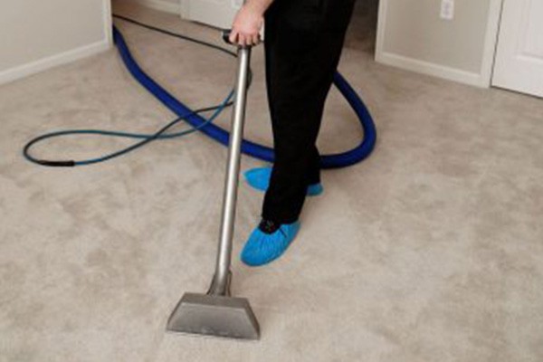 Best Carpet Cleaner