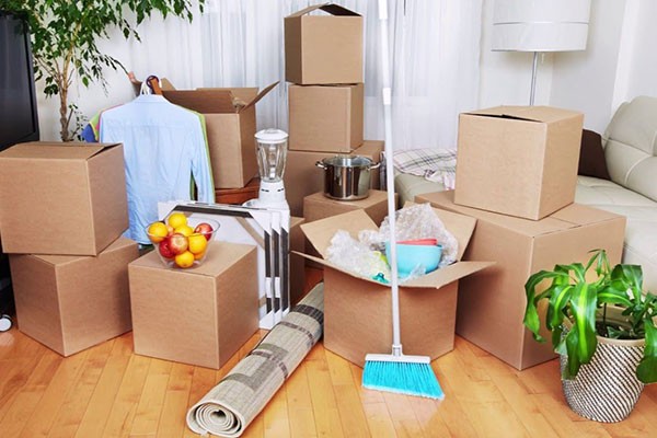 Move In Cleaning Services