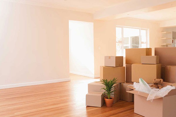 Move-in Move Out Services