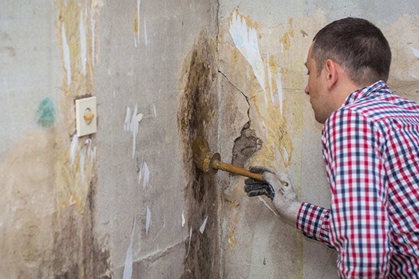 Mold Remediation Cost