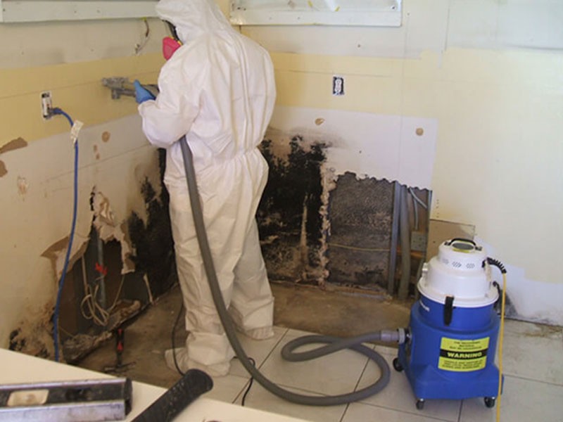 Why Should You Hire Our Mold Removal Services?