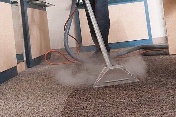 Carpet Steam Cleaning