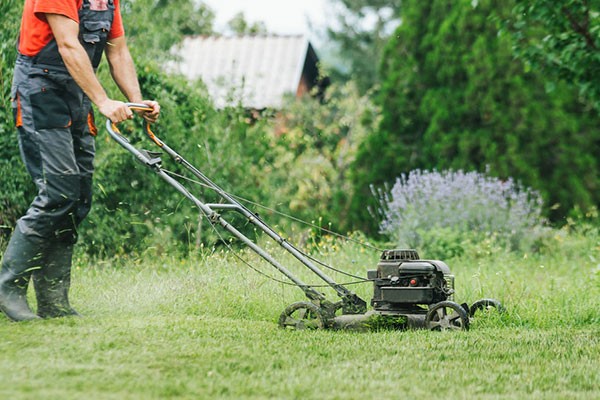 Lawn Trimming Cost