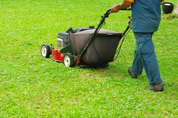 Lawn Care Services