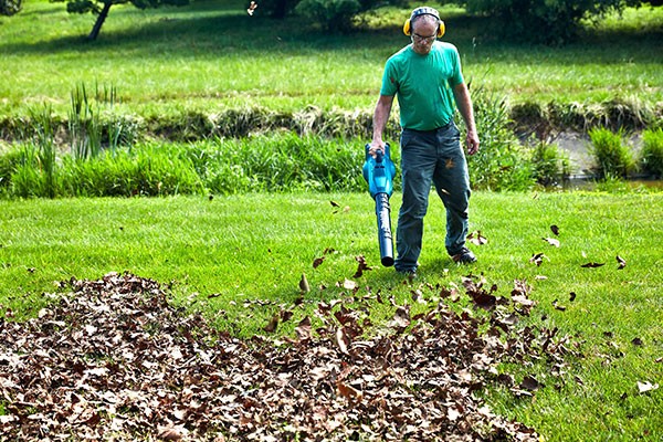 Leaf Removal Cost