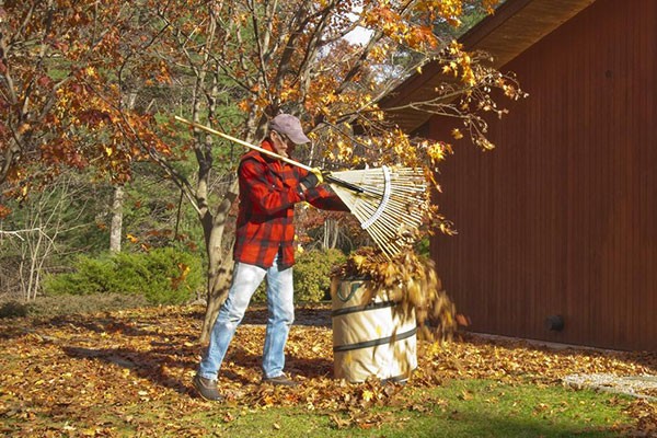 Leaf Removal Services