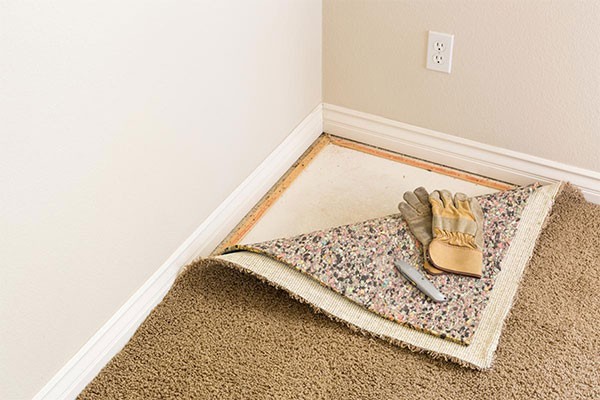 Carpet Removal Services