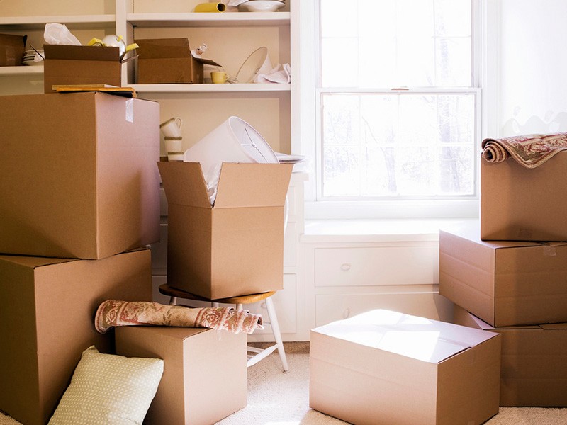 Why Hire Us For Relocation?