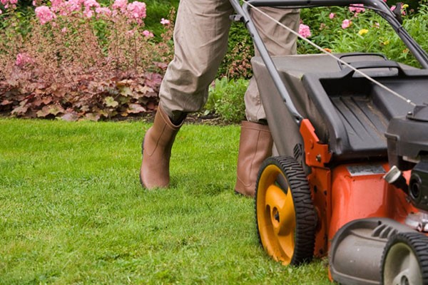 Lawn Care Services In Pineville NC