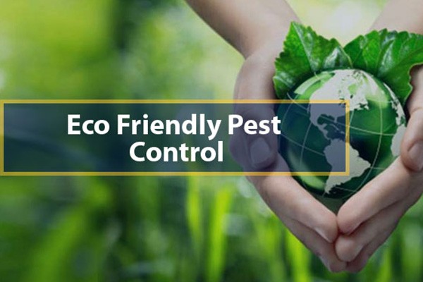 Eco-Friendly Pest Control Service McKinney TX
