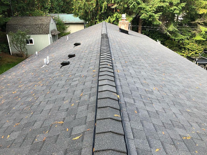 Residential Roof Replacement Leschi WA