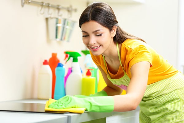 Maid Services In The Colony TX