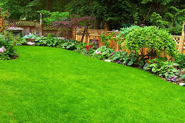 Landscaping Services Canton NC