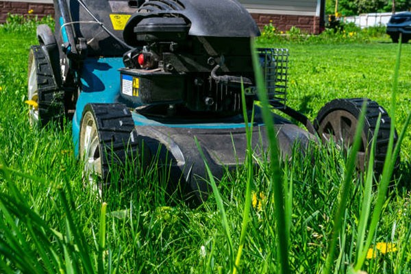 Commercial And Residential Mowing Waynesville NC