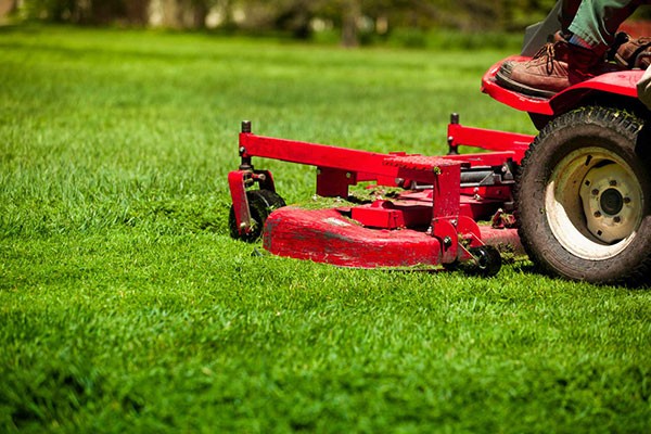 Mowing Services Candler NC