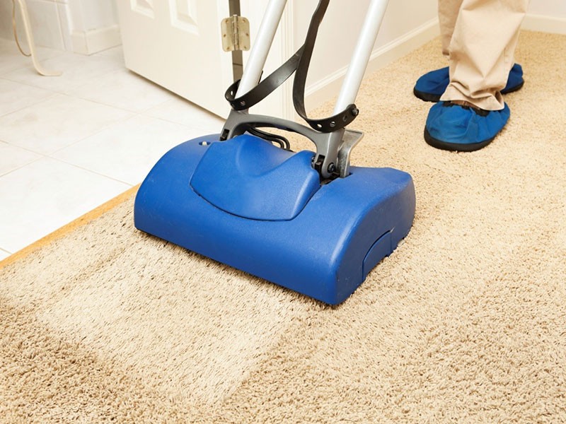 Affordable Carpet Cleaning Freeland MI