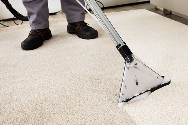 Best Carpet Cleaning Saginaw MI
