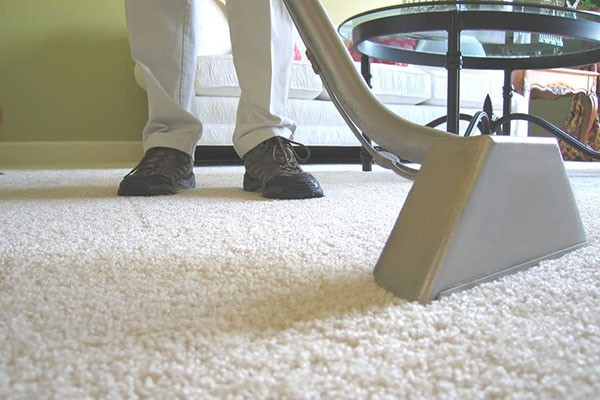 Best Carpet Cleaners Birch Run MI