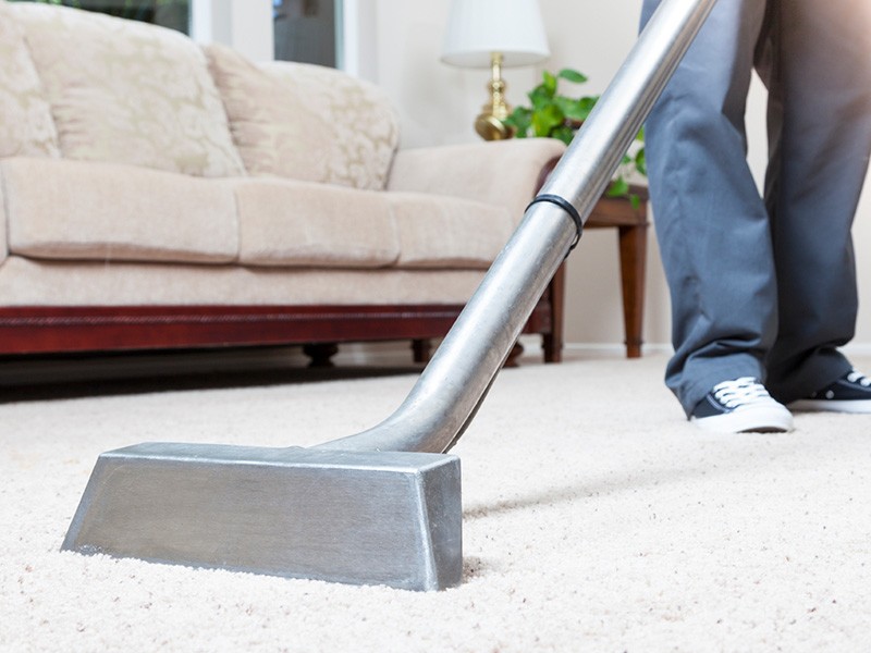 Offering Higher Standards Of Carpet Cleaning Services