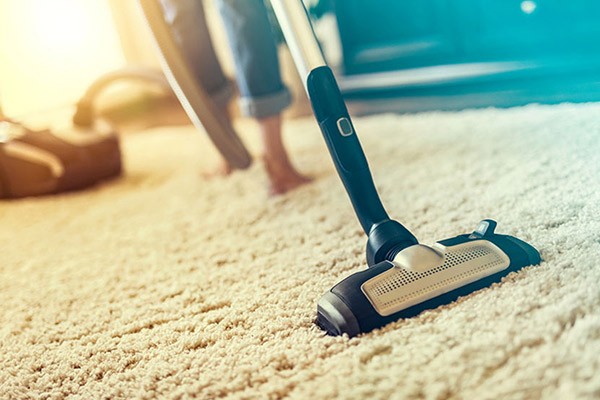 Best Carpet Cleaning Service Ruskin FL