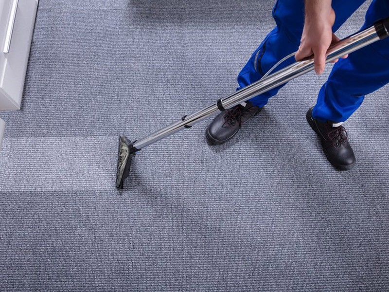 Best Carpet cleaning Services Tampa FL
