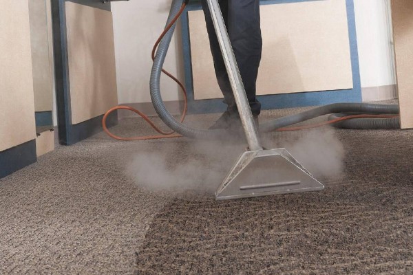 Carpet Steam Cleaning Tampa FL