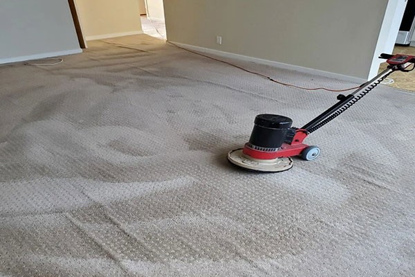 Carpet Cleaning Company In Daly City CA