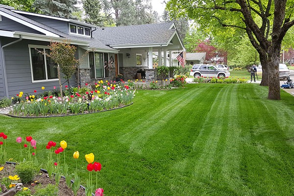 Best Lawn Maintenance Service Moore OK