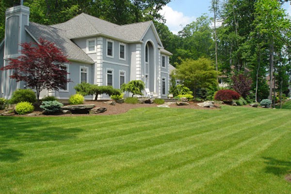 Residential Lawn Maintenance Midwest City OK