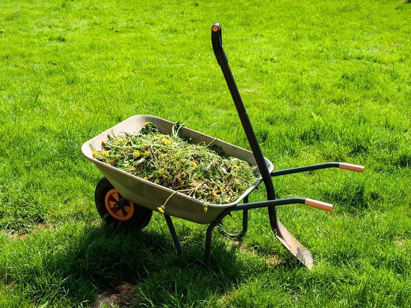 Weed Removal Services Oklahoma City OK