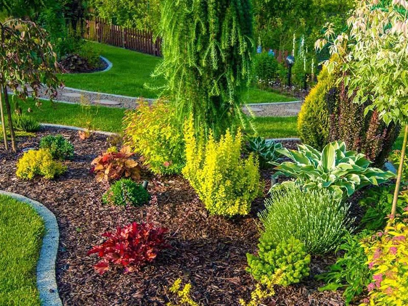 Quality Commercial Landscaping At Affordable Rates