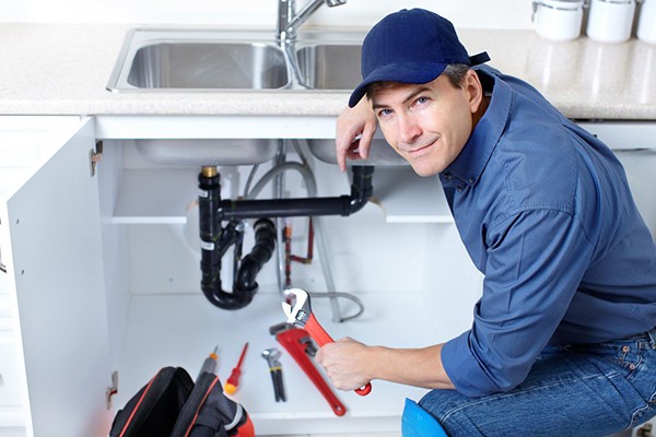 Professional Plumbing Services Dallas County TX