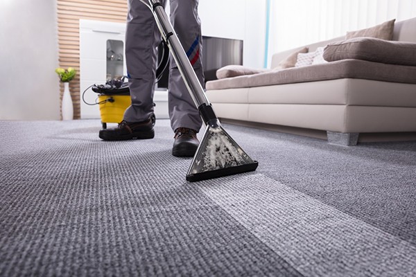 Professional Carpet Cleaning Service Wilmington NC