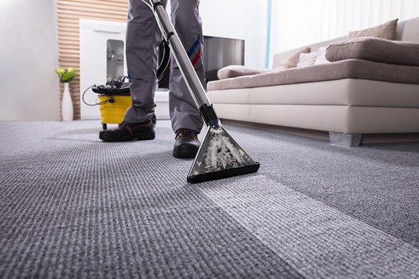 Professional Carpet Cleaning Service Pender County NC