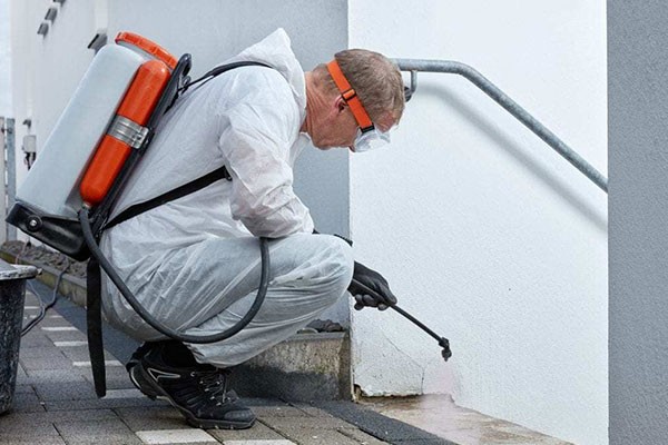 Mold Specialist Pearland TX