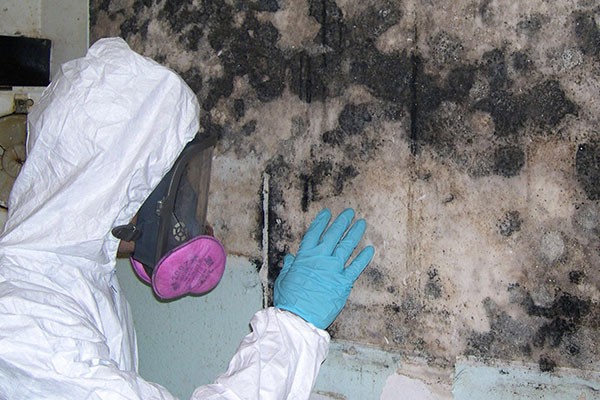 Mold Inspection Pearland TX