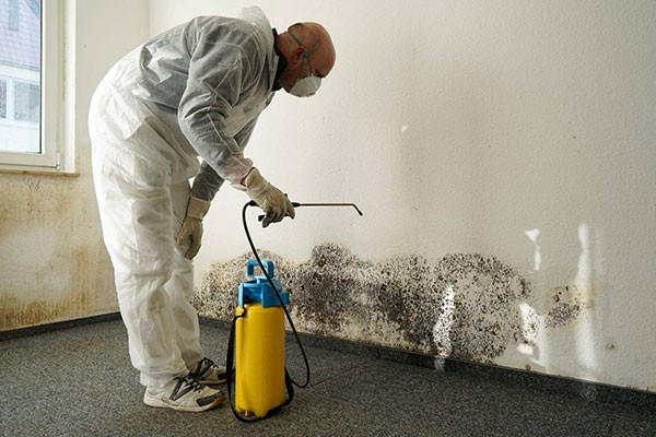 Mold Specialist Clear Lake TX