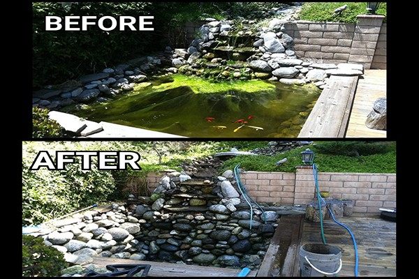 Best Pond Services Ahwatukee AZ