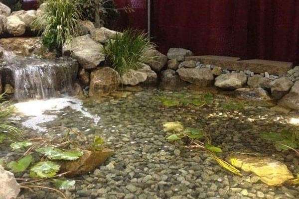 Affordable Pond Services Phoenix AZ